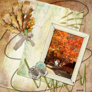 Beautiful fall  Color