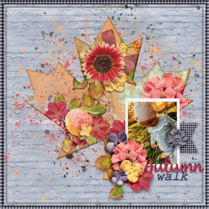 Autumn-walk2