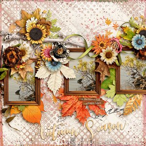 Autumn Season