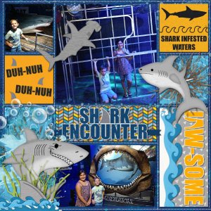 Sharks