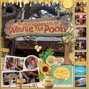 The Many Adventures of Winnie the Pooh