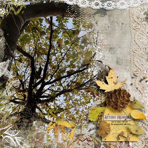 Autumn memories