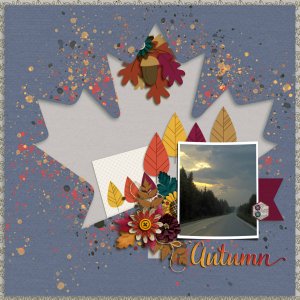 Favorites of fall