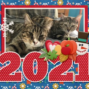 2021 Calendar Cover