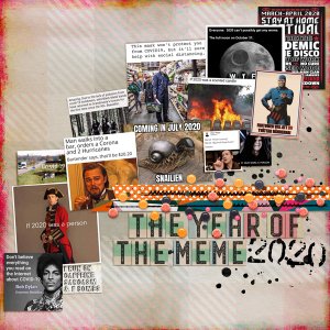 The Year of the Meme
