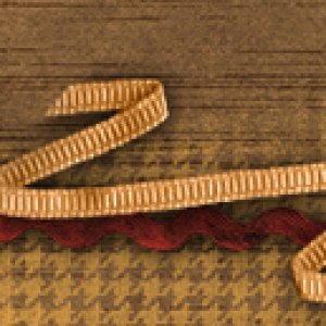 November Signature