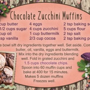 Chocolate Zucchini Muffins