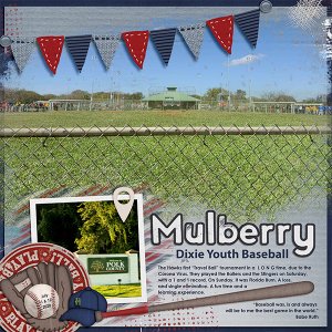 Mulberry Dixie Youth Baseball