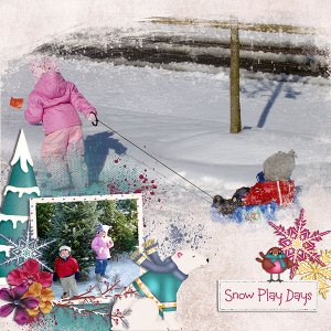 snow play days