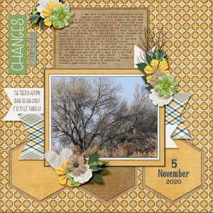 11-November_5_2020_cut_out_template-things_change