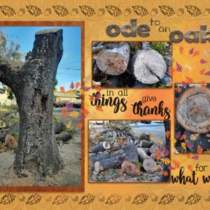 ode to an oak