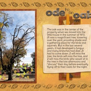 ode to an oak