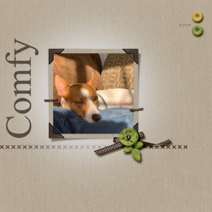 Comfy