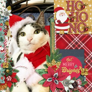 Ho Ho No