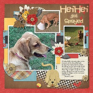 GSTempCh1-1120-Heiheigotspayed110520
