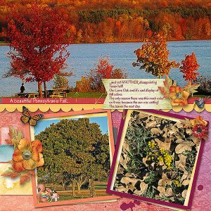 GSColorCh1120-AnotherTxFall111120