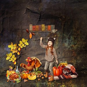 Le monde de Jason le Dindon