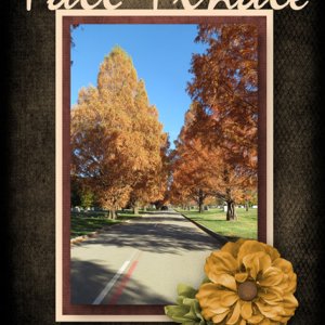 Fall Finale