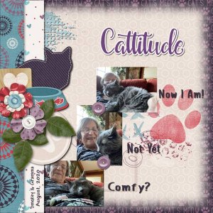 Cattitude