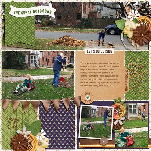 Yard Cleanup 2020