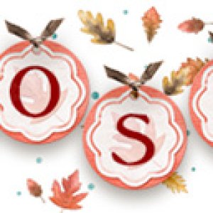 Nov 2020 signature challenge