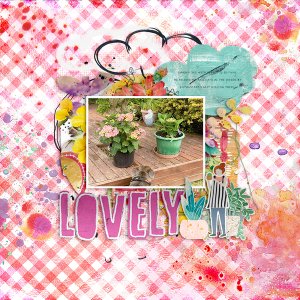Lovely_Garden