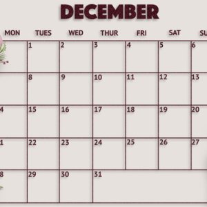 November_20202