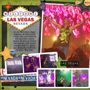 Vegas Concert