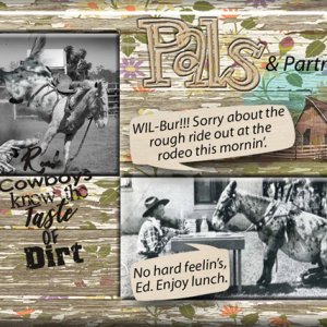 Pals + Partners