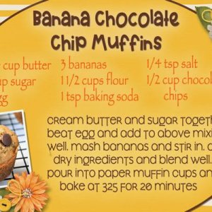 Banana Chocolate Chip Muffins