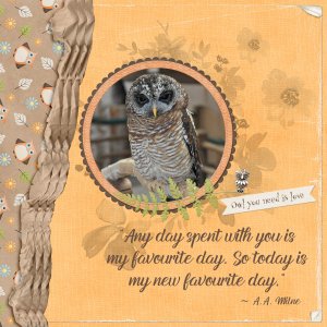 The Owl!