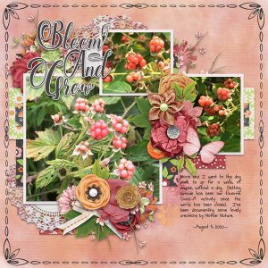 Bloom and Grow