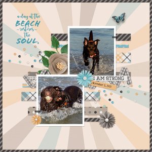 A Day at the Beach