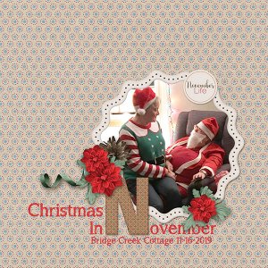 Christmas In November