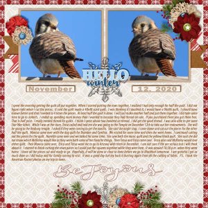 11-November_12_2020_2020_December