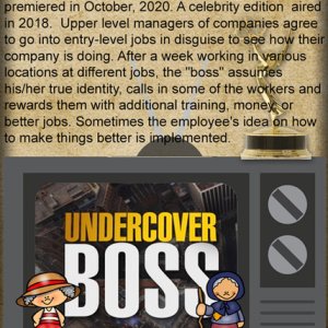 TV A to Z UNDERCOVER BOSS