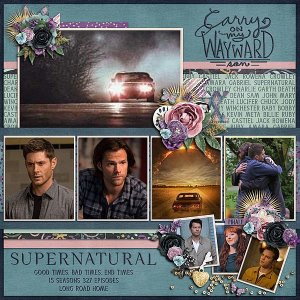 Carry on Wayward Son