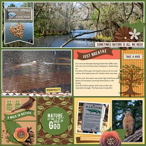 Manatee Springs
