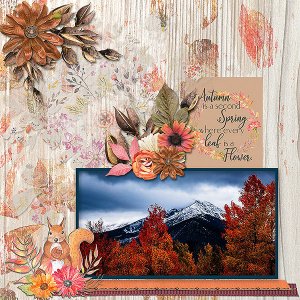 GSBrushCh1120-ColoradoFall1120