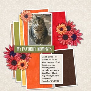 November 2020 Template #2 Challenge