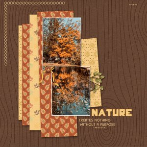 Nature