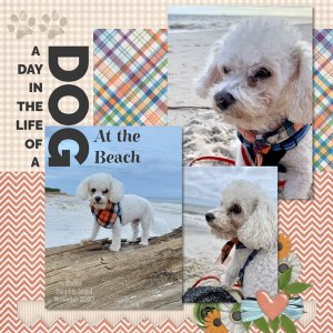 November 2020 Recipe Challenge: Tucker at the Beach
