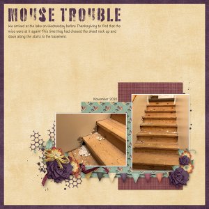 Mouse Trouble
