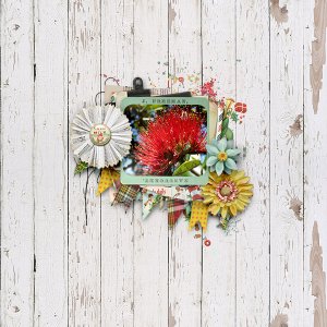 TNP-aspecialdelivery-Tracy01