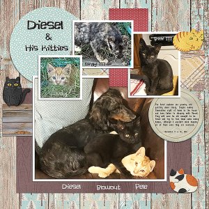 GSMixItUpCh1120-Diesel+HisKitties112620