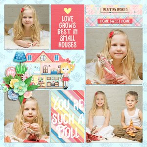 Doll house
