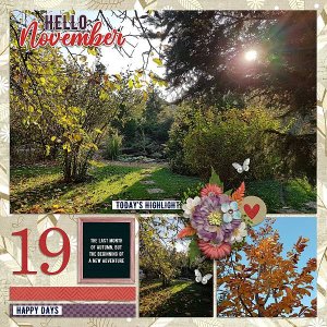 A bit of November