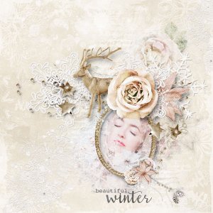 Winter Delight