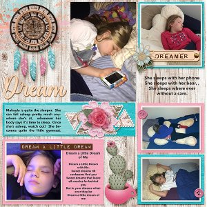 Sleep Dreams