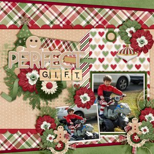 Perfect-Gift1